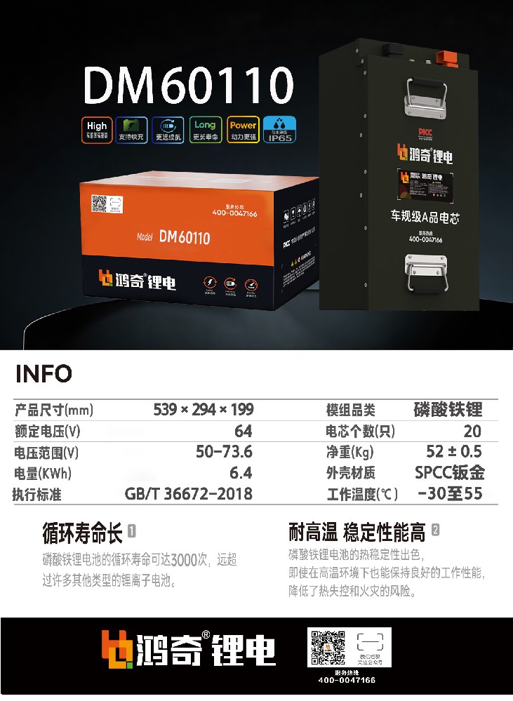 DM60110